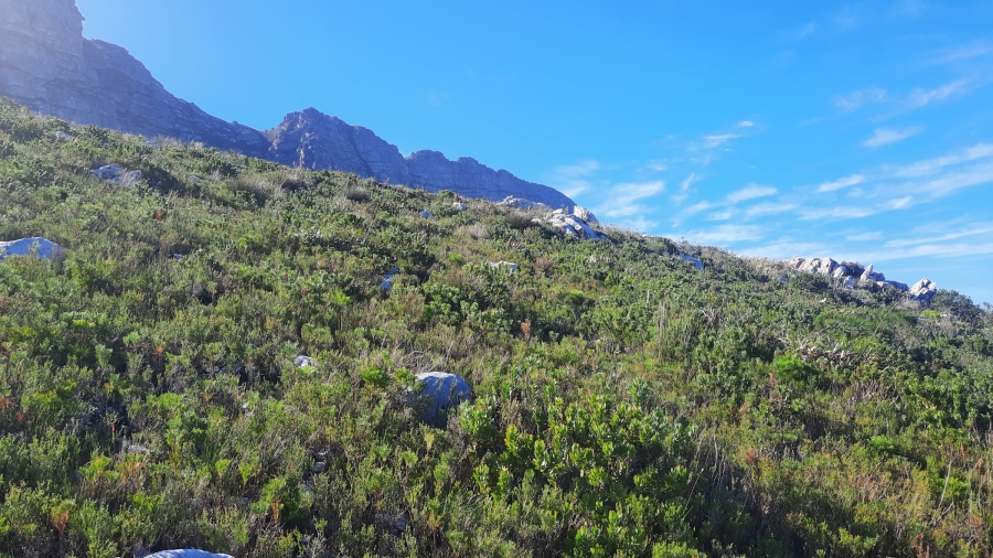 0 Bedroom Property for Sale in Bettys Bay Western Cape